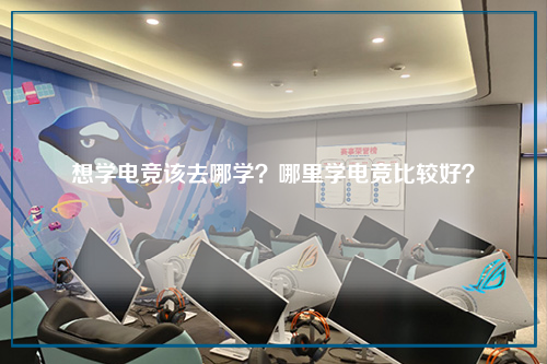 想学电竞该去哪学？哪里学电竞比较好？