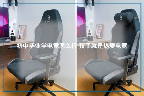 初中毕业学电竞怎么样 孩子就是热爱电竞